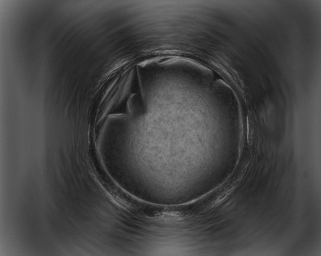 X0000052640157200507160206