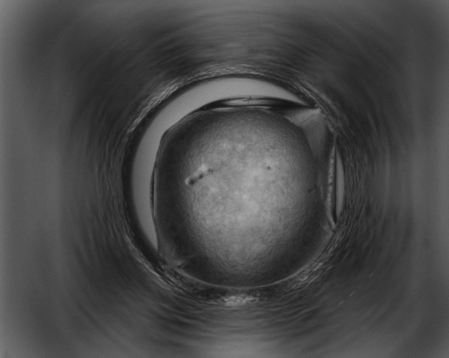 X0000052640158200507160206