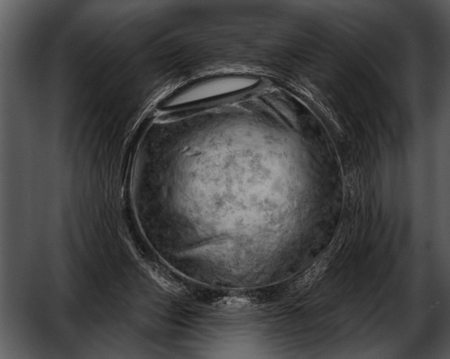 X0000052640159200507160206