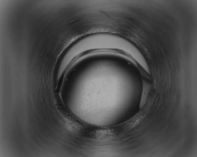 X0000052640160200507160206