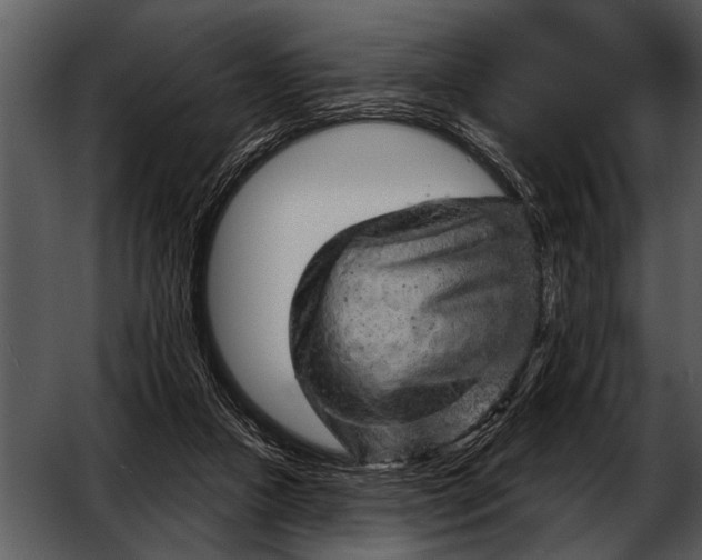 X0000052640161200507160206