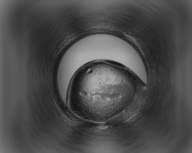 X0000052640162200507160206