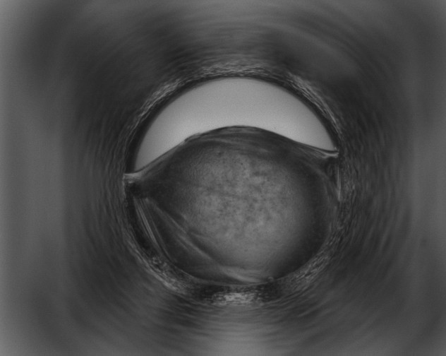 X0000052640163200507160206