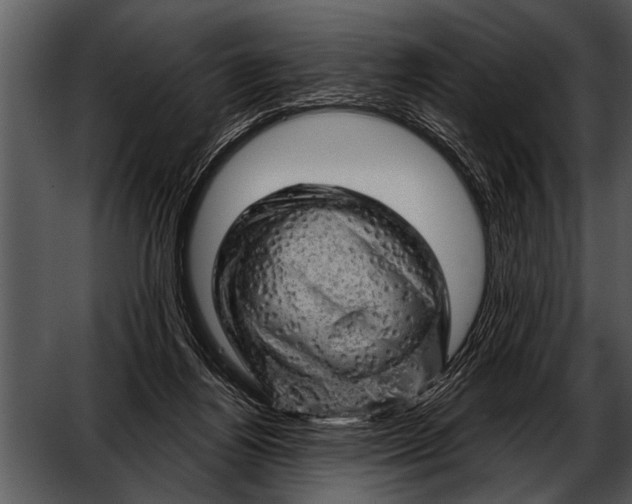 X0000052640164200507160206