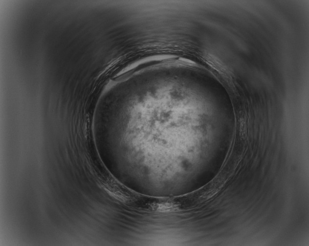 X0000052640165200507160206