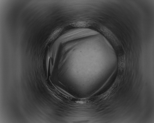 X0000052640167200507160206