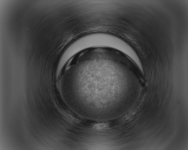 X0000052640168200507160206