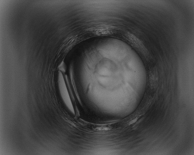 X0000052640169200507160206