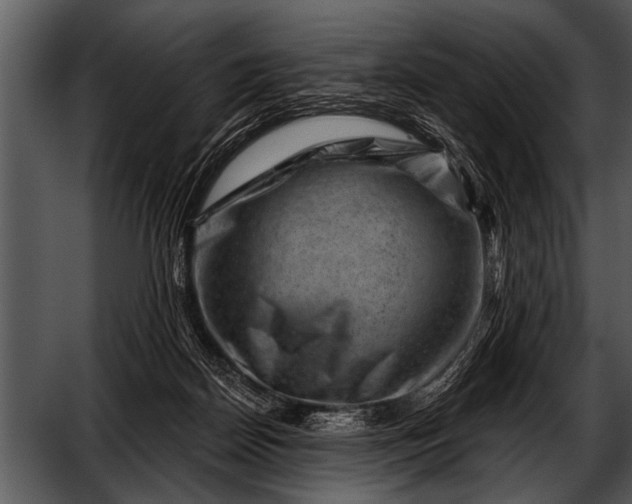 X0000052640170200507160206