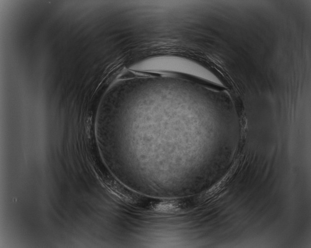 X0000052640171200507160206