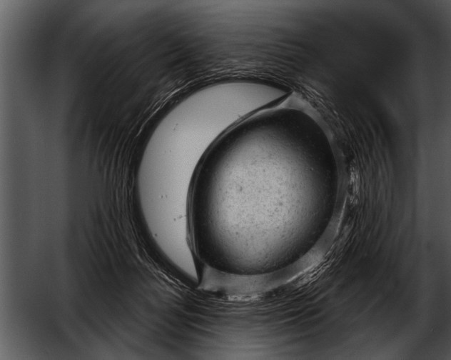 X0000052640172200507160206