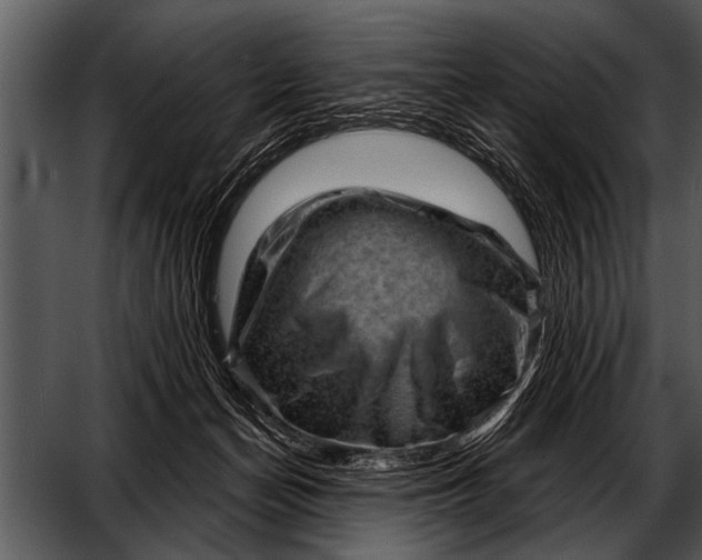 X0000052640174200507160206