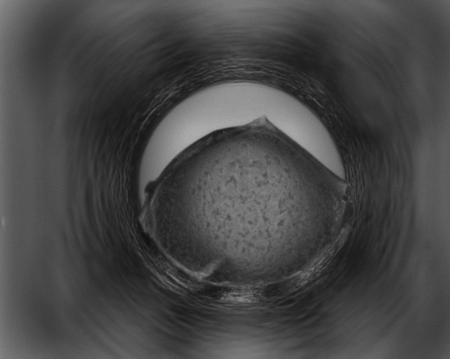 X0000052640175200507160206