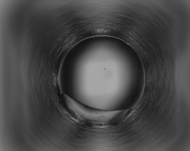 X0000052640176200507160206