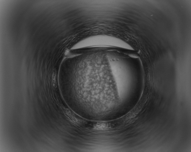 X0000052640177200507160206