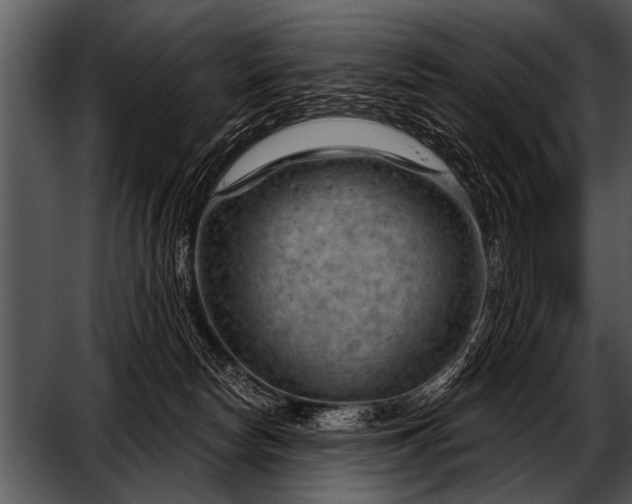 X0000052640178200507160206