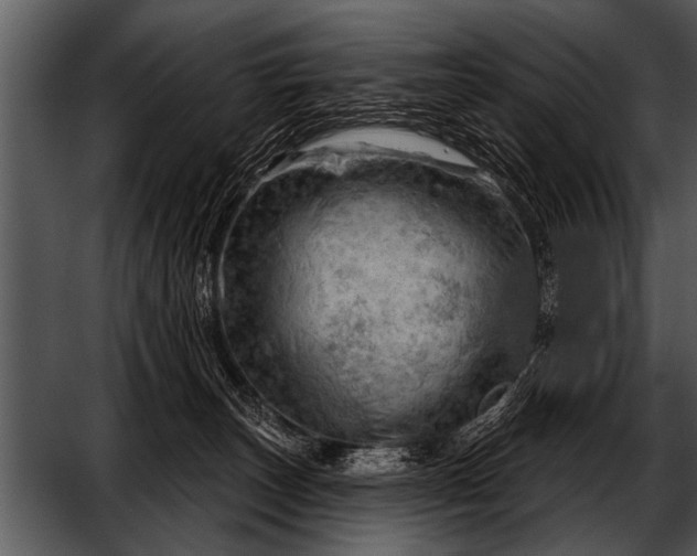 X0000052640179200507160206