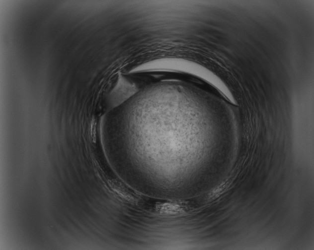 X0000052640180200507160206