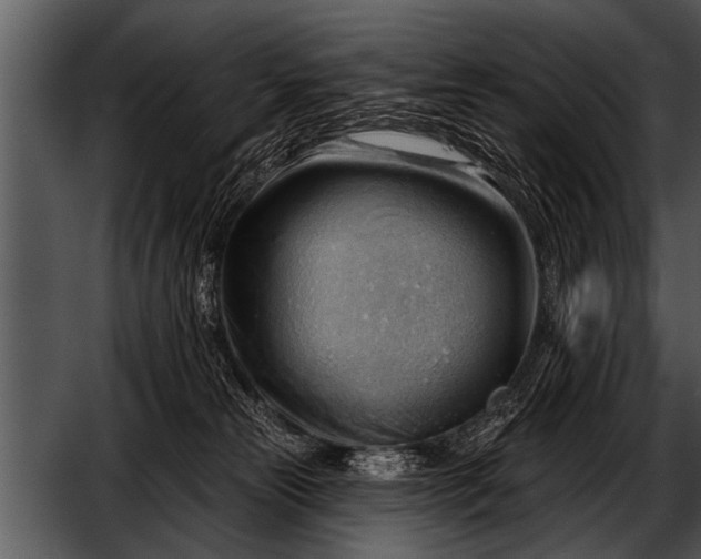 X0000052640181200507160206