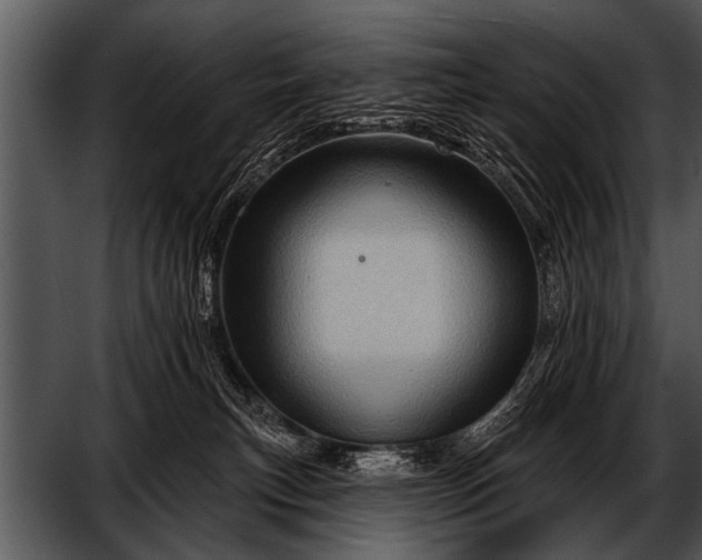 X0000052640183200507160206