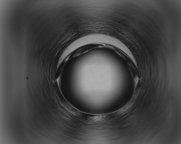 X0000052640184200507160206