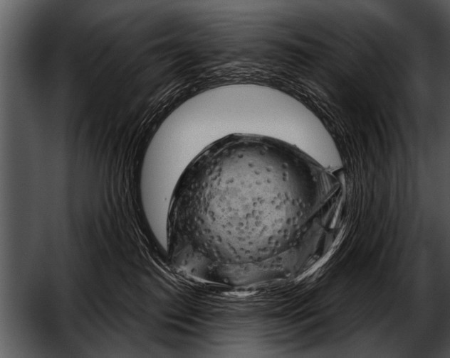 X0000052640186200507160206