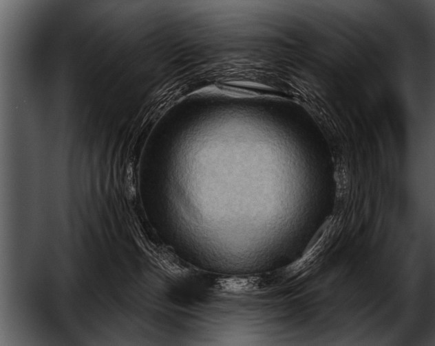 X0000052640187200507160206