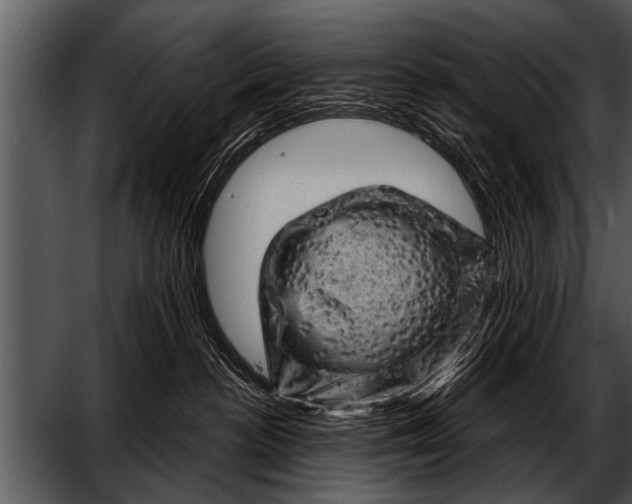 X0000052640188200507160206