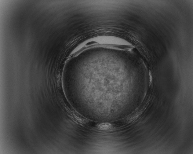 X0000052640189200507160206