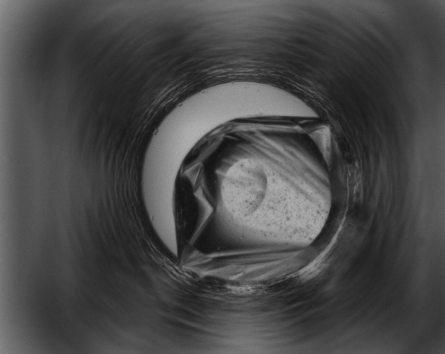 X0000052640190200507160206