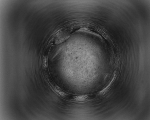 X0000052640191200507160206