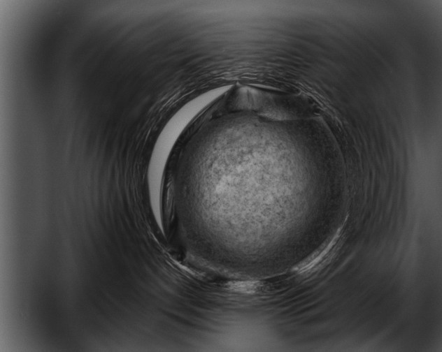 X0000052640192200507160206