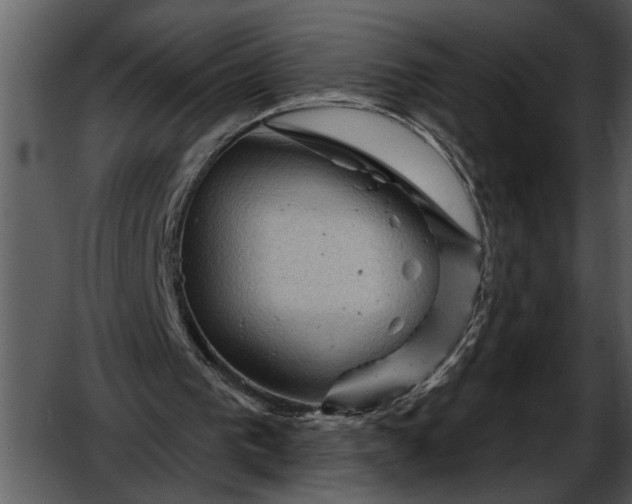 X0000052640193200507160206