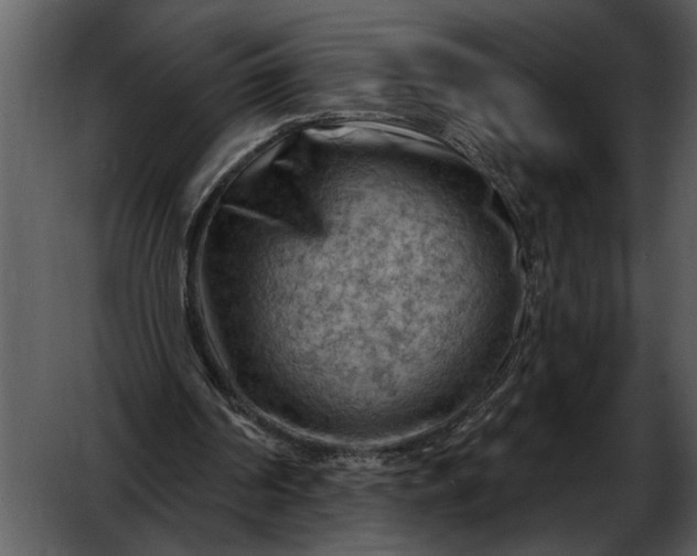 X0000052640194200507160206