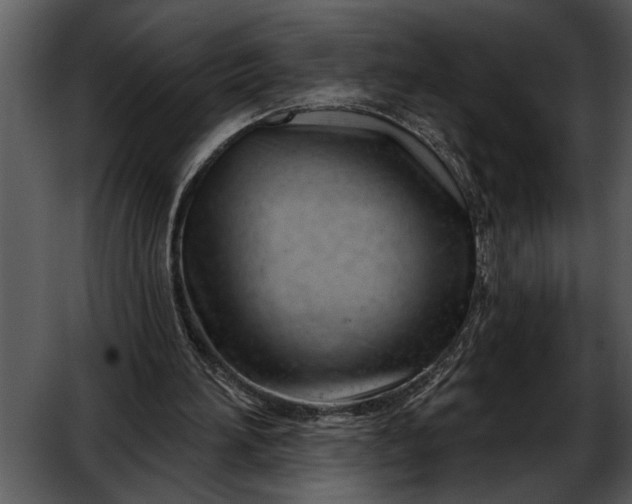 X0000052640196200507160206