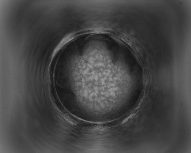 X0000052640198200507160206