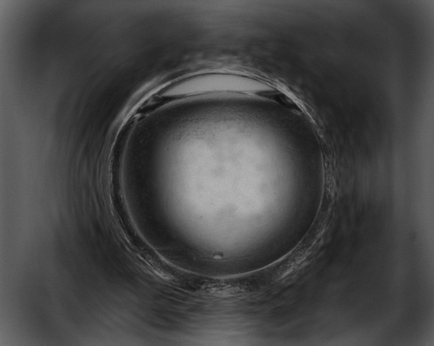 X0000052640199200507160205