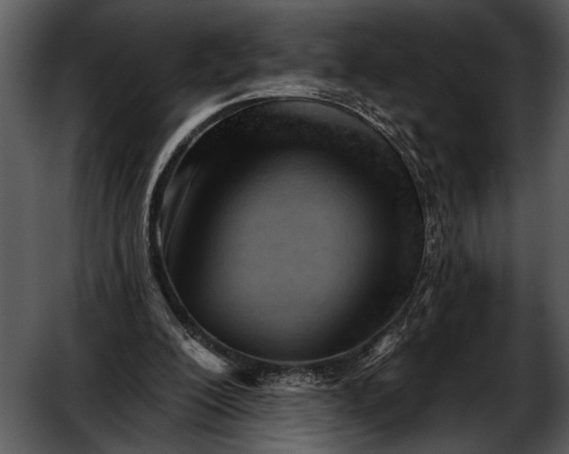 X0000052640200200507160205