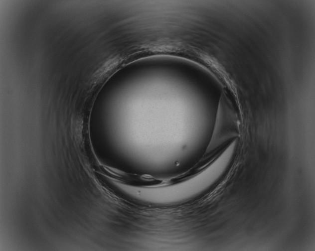 X0000052640201200507160205