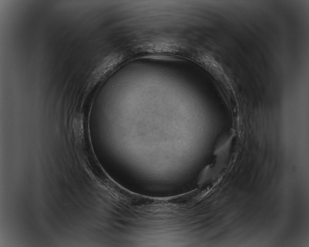 X0000052640202200507160205