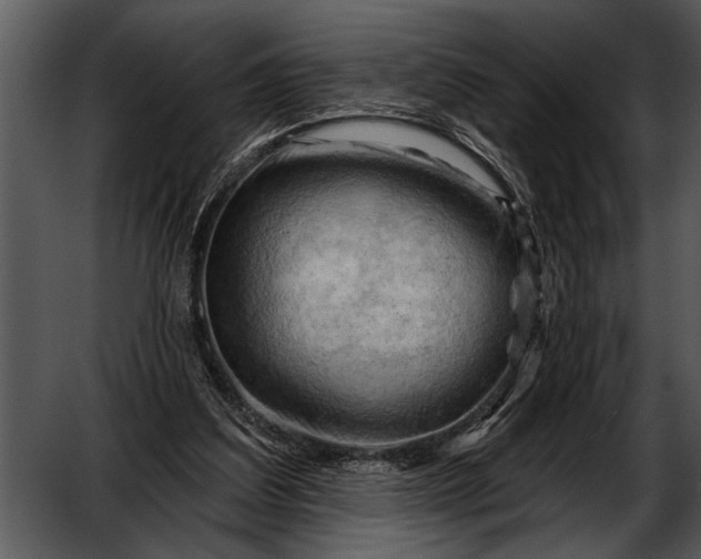 X0000052640203200507160205