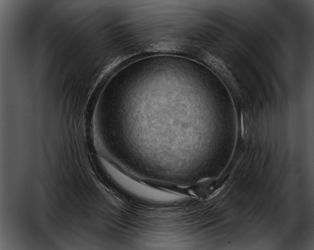 X0000052640204200507160205