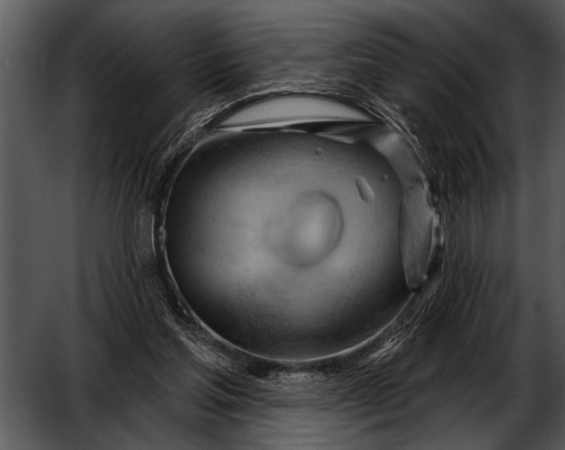 X0000052640205200507160205