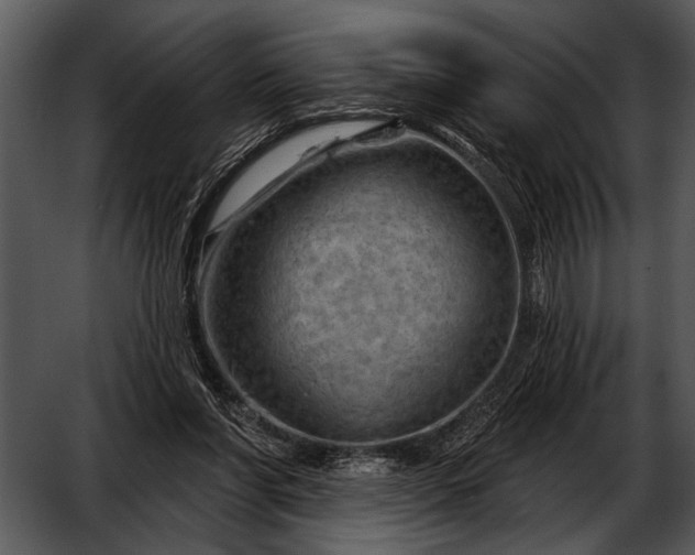 X0000052640206200507160205