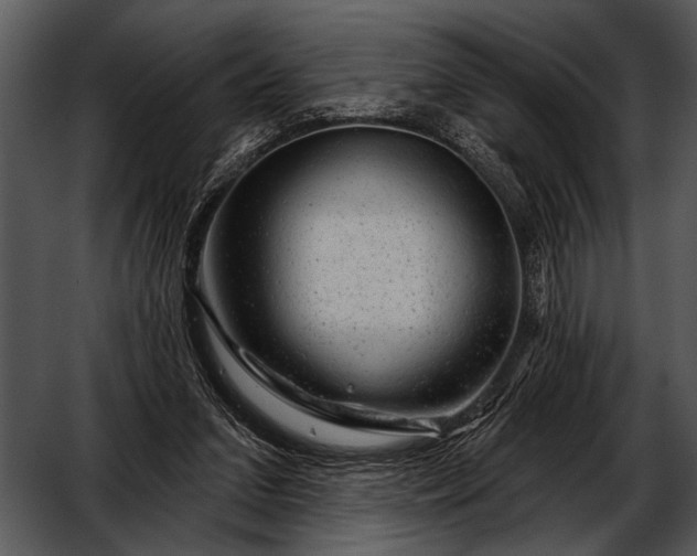 X0000052640207200507160205