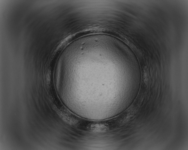 X0000052640208200507160205