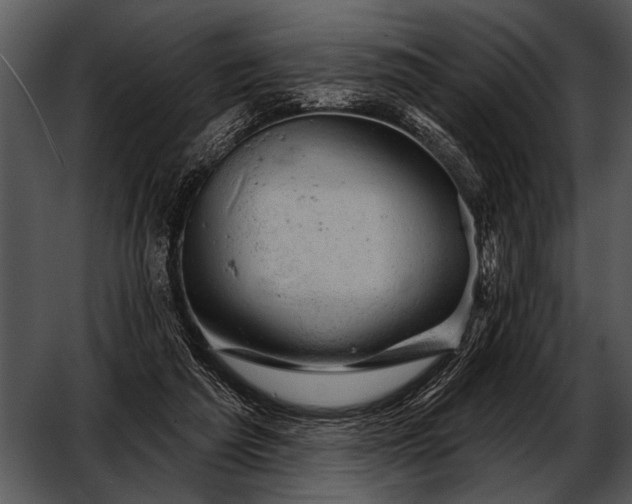 X0000052640209200507160205