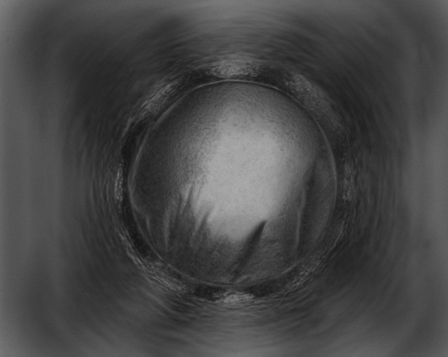 X0000052640210200507160205