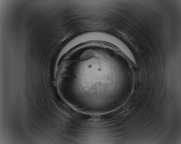 X0000052640211200507160205