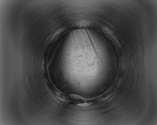 X0000052640212200507160205